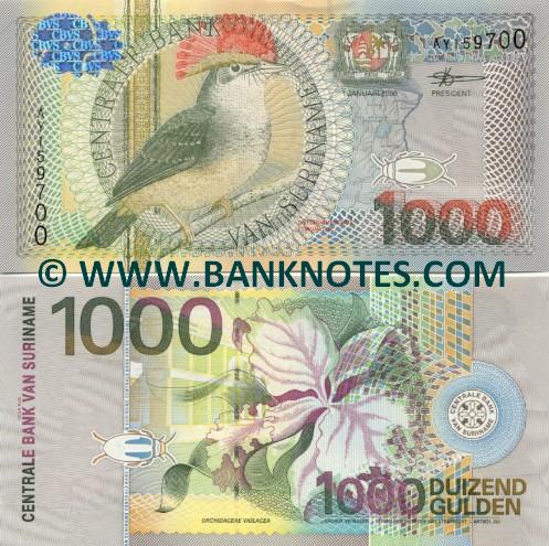 Currency Gallery of Suriname