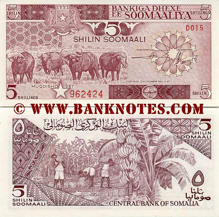 Somali Currency Gallery